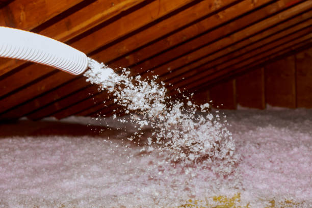 Types of Insulation We Offer in South Pasadena, CA