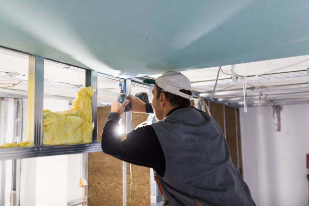 Best Spray Foam Insulation in South Pasadena, CA