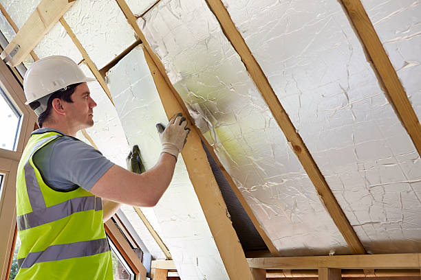 Best Cellulose Insulation in South Pasadena, CA