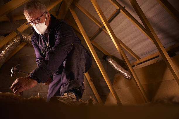 Best Eco-Friendly Insulation in South Pasadena, CA