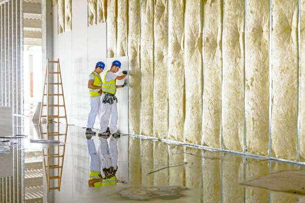 Best Insulation for Specific Applications in South Pasadena, CA